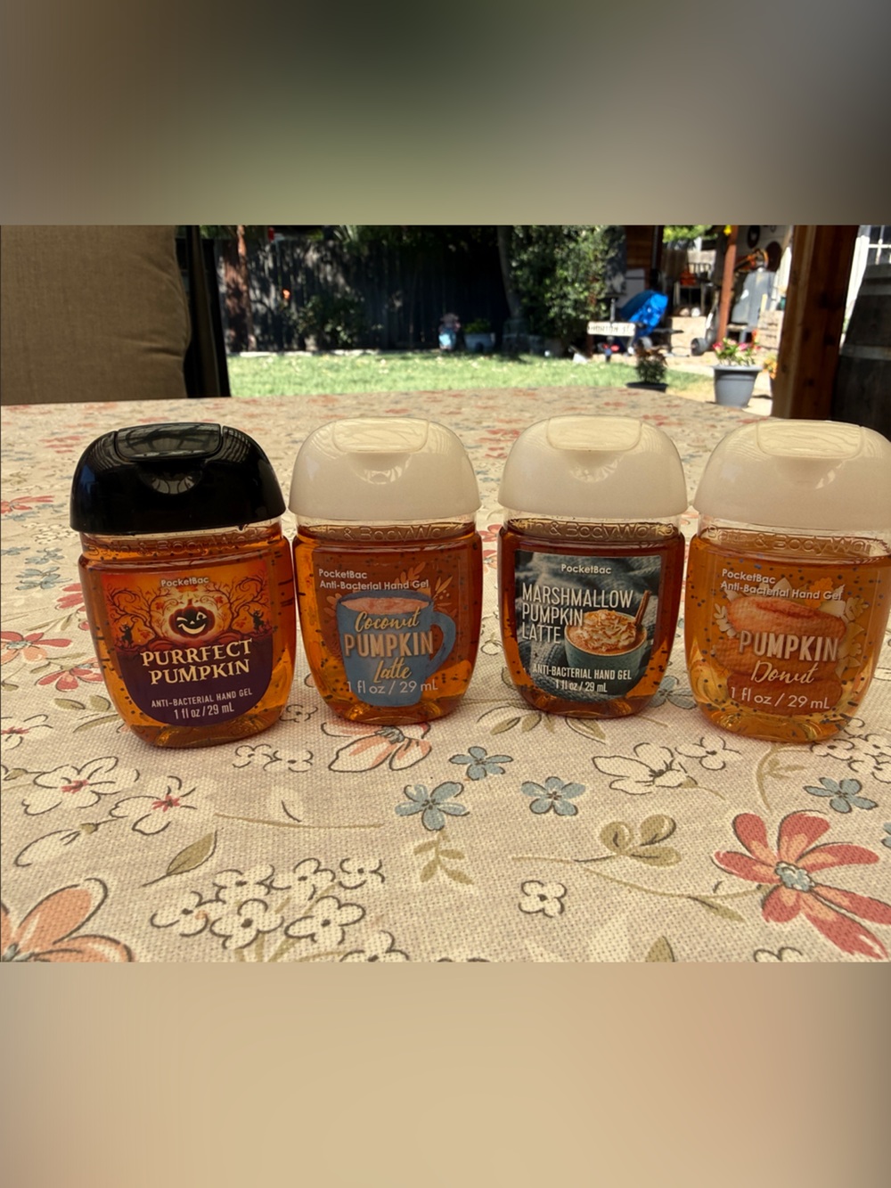 Bath & Body Works fall and Christmas Hand Sanitizers (8)